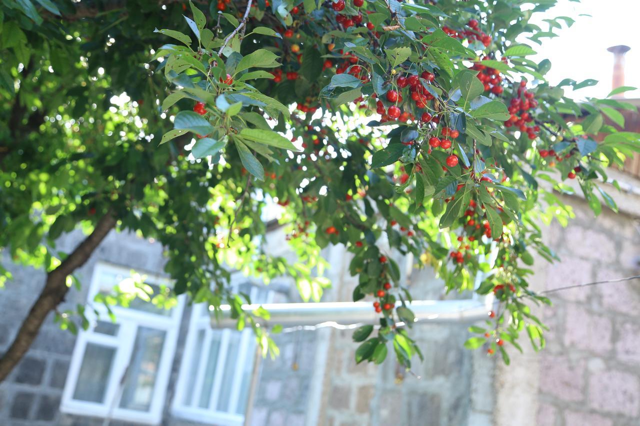 Guest House David'S B&B Gyumri Exterior photo